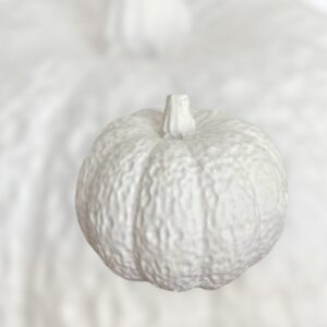 Kürbis